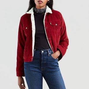 Levi’s Authentic Red Dahlia